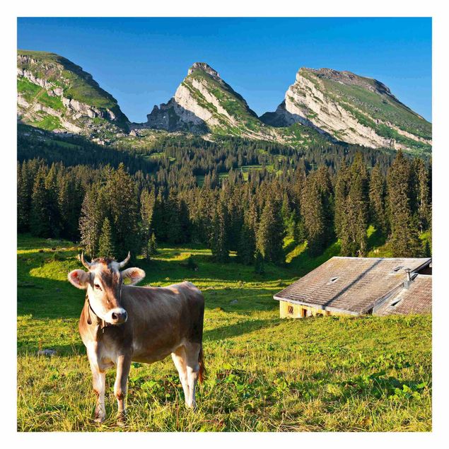 Fototapete Schweizer Almwiese mit Kuh