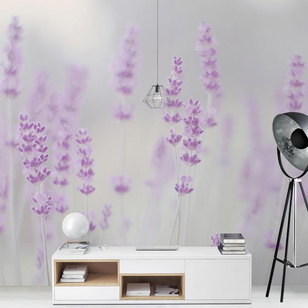 Design Tapete Sommer im Lavendelfeld