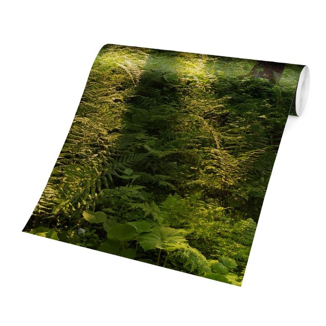 Design Tapete Sonnenstrahlen in grünem Wald