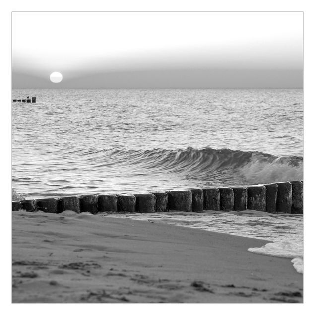 Fototapete weiß Sonnenuntergang am Meer Schwarz-Weiß