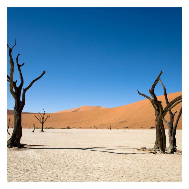 Fototapete - Sossusvlei Namibia
