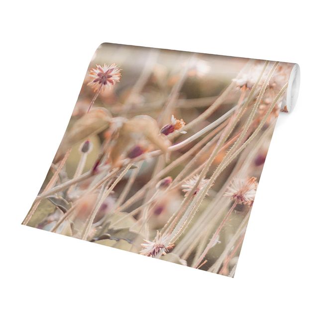 Moderne Tapeten Strahlende Blumenwiese