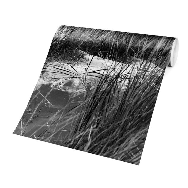 Fototapete schwarz Stranddüne am Meer Schwarz-Weiß