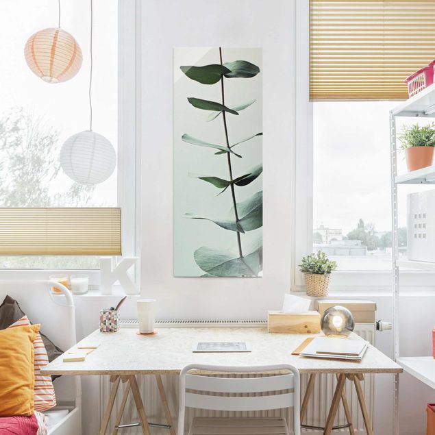 Glasbilder Blumen Symmetrischer Eukalyptuszweig