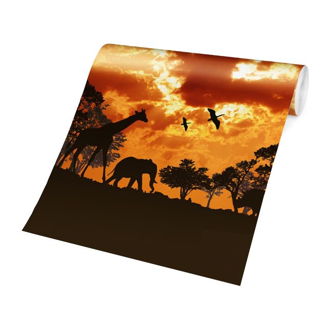 Wandtapete Tiere Tanzania Sunset