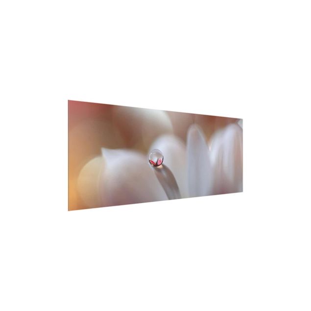 Bilder für die Wand Tautropfen auf rosa Blüte