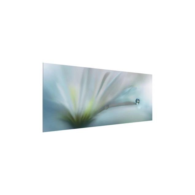 Bilder für die Wand Tautropfen auf weißer Blüte