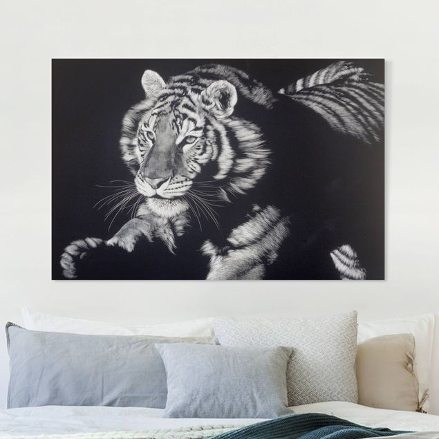 Wandbilder XXL Tiger im Sonnenlicht vor Schwarz