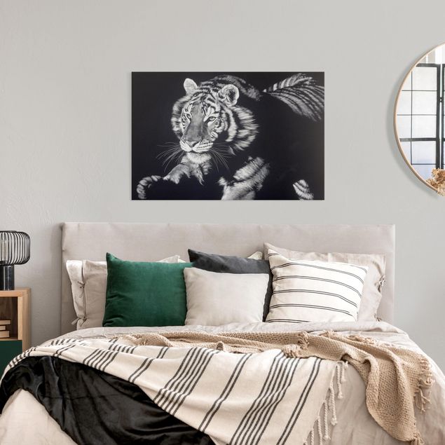 Wandbilder Löwe Tiger im Sonnenlicht vor Schwarz