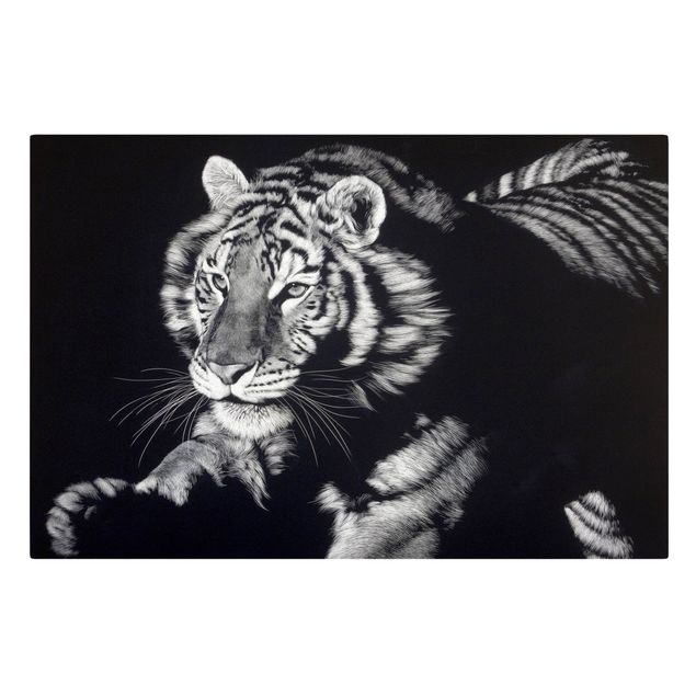 Leinwandbilder Schwarz-Weiß Tiger im Sonnenlicht vor Schwarz