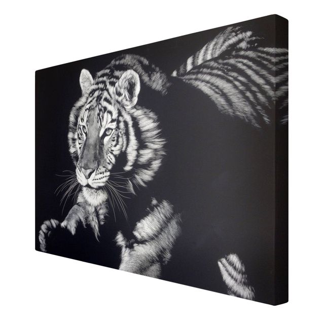 Kunstdrucke auf Leinwand Tiger im Sonnenlicht vor Schwarz