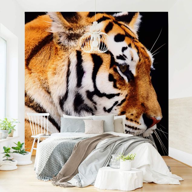 Wandtapete Tiere Tiger Schönheit