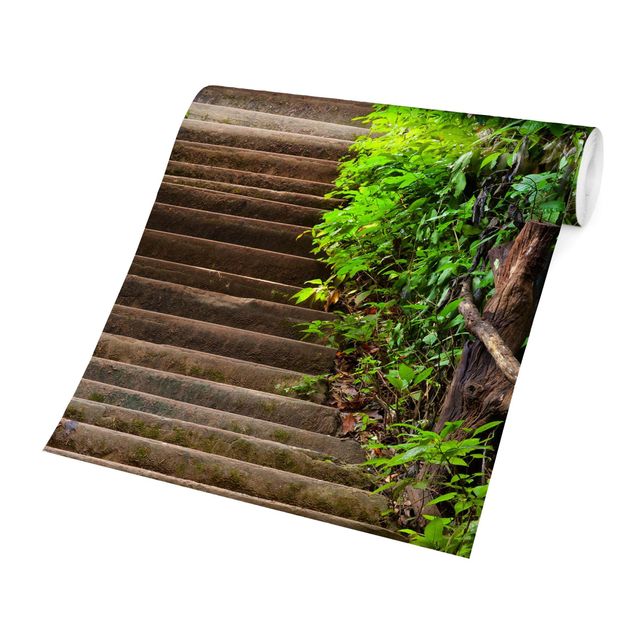 Fototapete Design Treppenaufstieg im Wald