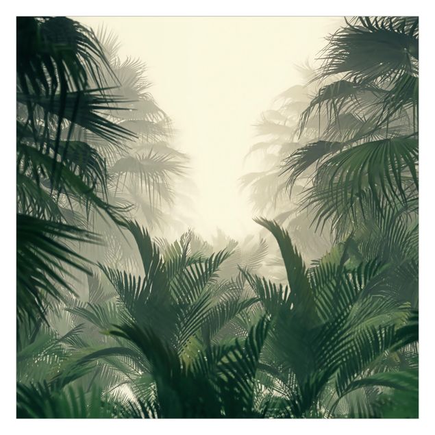 Fototapete Design Tropenpflanzen im Nebel