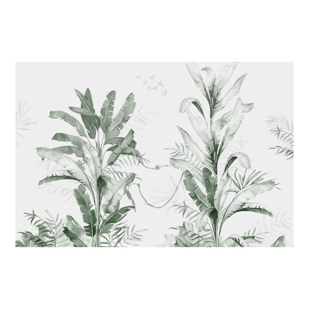 Fototapete modern Tropische Palmen und Blätter