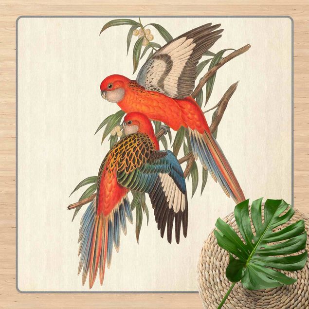 Moderner Teppich Tropische Papageien I