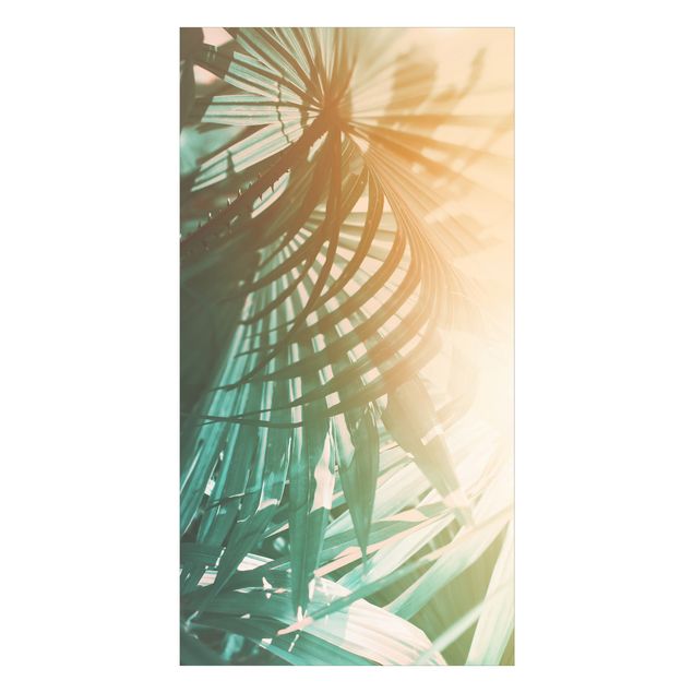 Duschrückwand - Tropische Pflanzen Palmen bei Sonnenuntergang