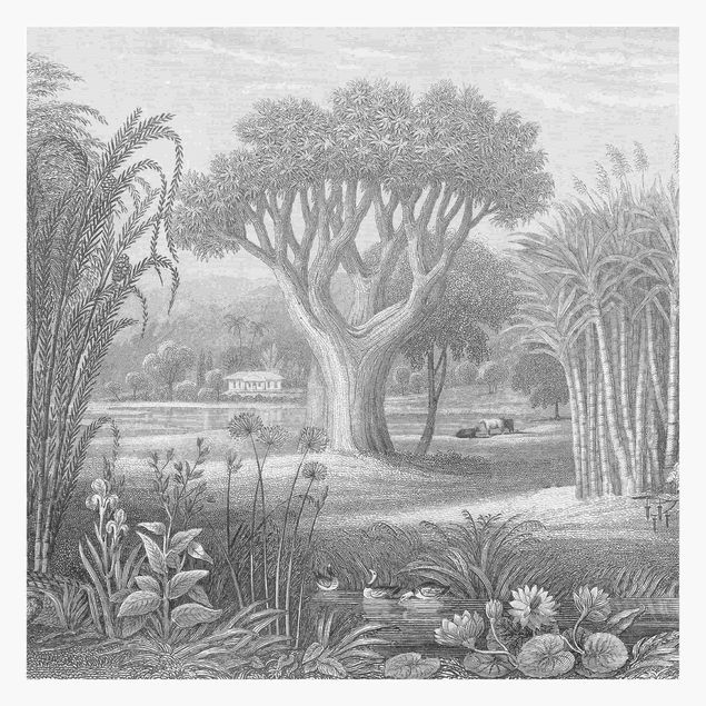 Fototapete Design Tropischer Kupferstich Garten mit Teich in Grau
