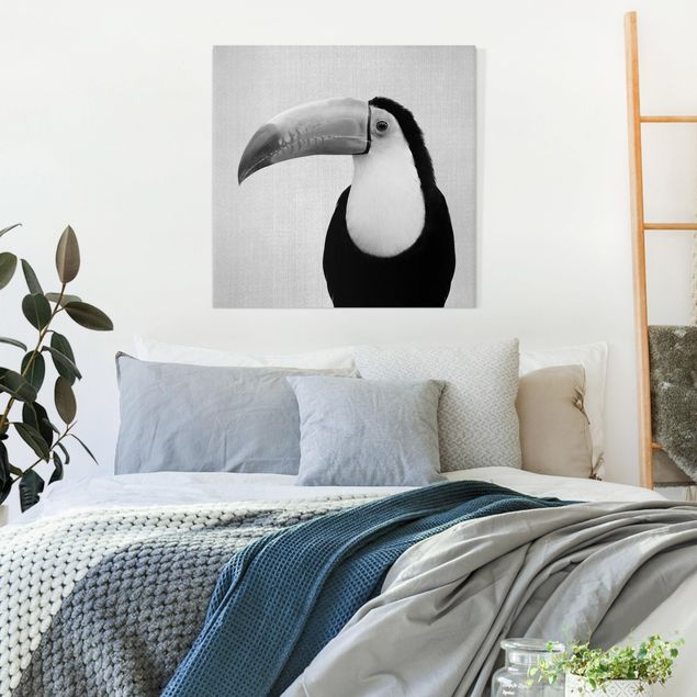 Leinwandbilder Vögel Tukan Torben Schwarz Weiß