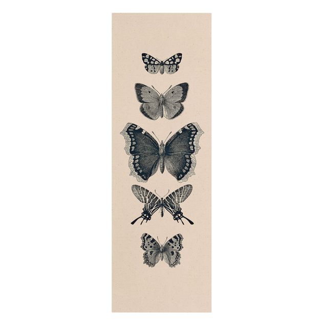 Tierbilder auf Leinwand Tusche Schmetterlinge auf Beige