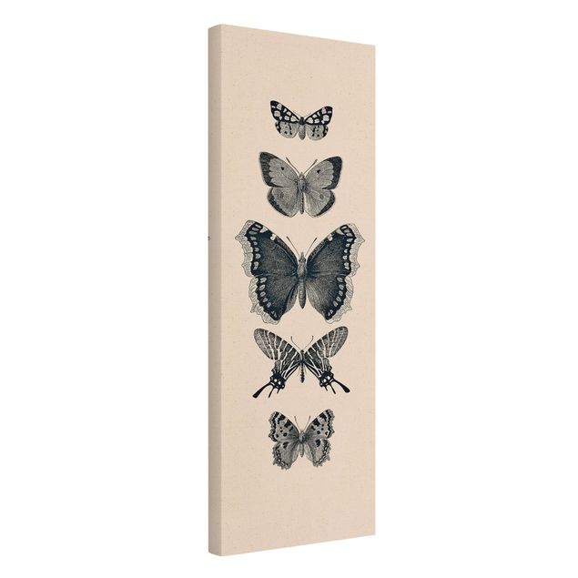 Moderne Leinwandbilder Wohnzimmer Tusche Schmetterlinge auf Beige