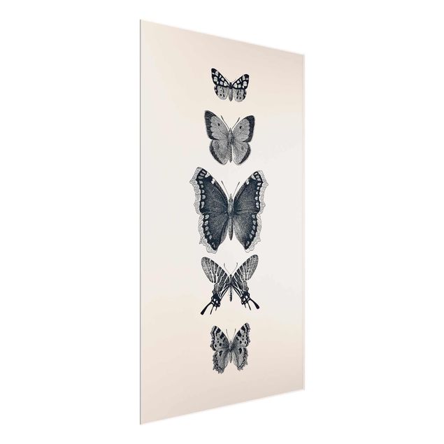 Wandbilder Tusche Schmetterlinge auf Beige