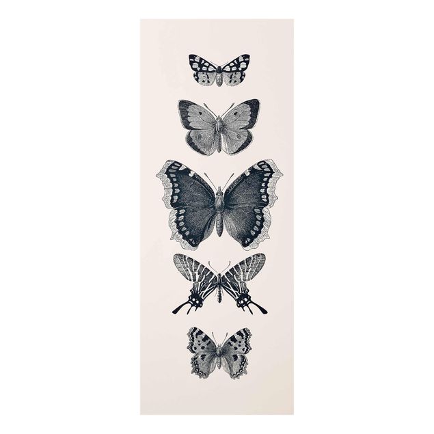 Glasbilder Tusche Schmetterlinge auf Beige