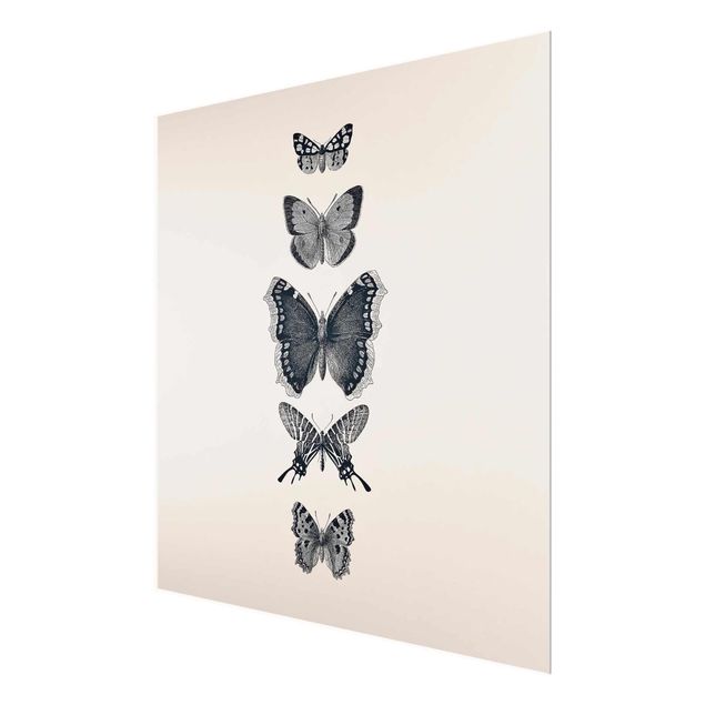 Glasbild - Tusche Schmetterlinge auf Beige - Quadrat