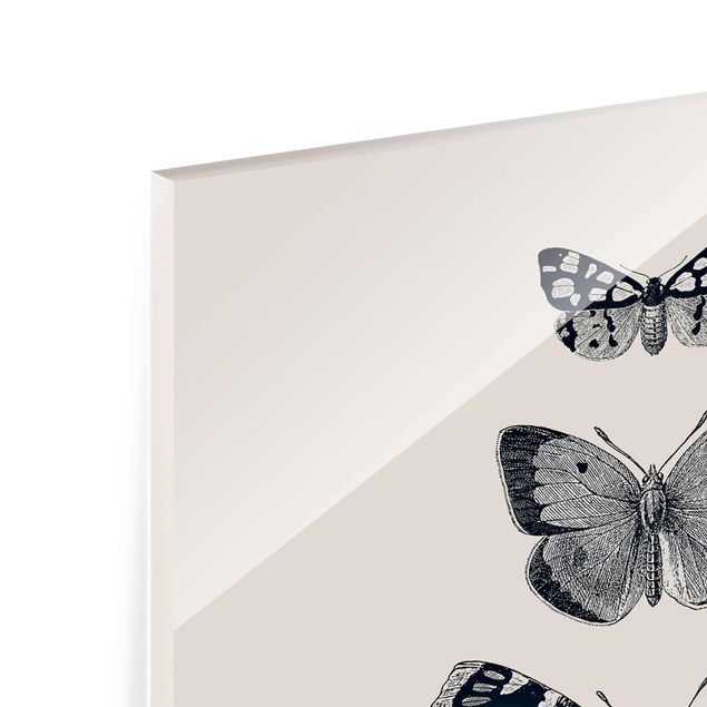 Glasbild - Tusche Schmetterlinge auf Beige - Hochformat