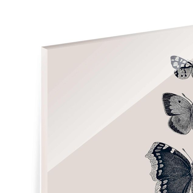 Glasbild - Tusche Schmetterlinge auf Beige - Quadrat