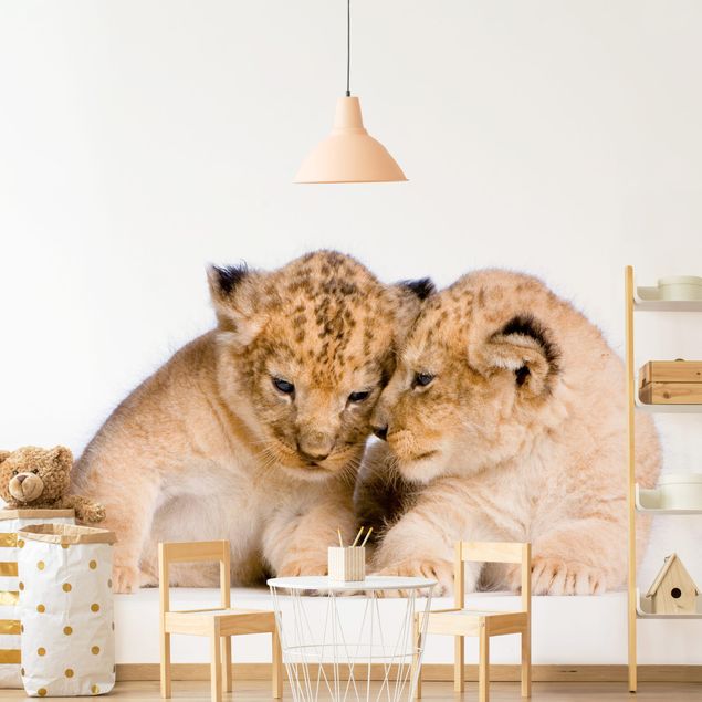 Löwe Tapete Two Lion Babys
