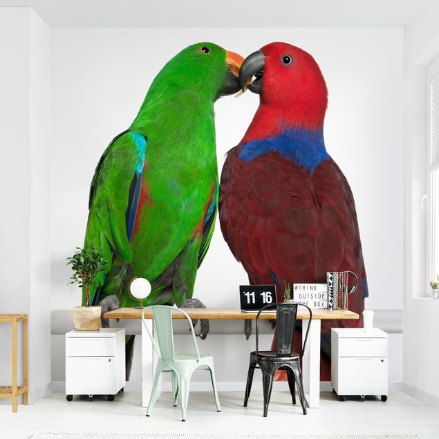 Fototapete Tiere Verliebte Papageien