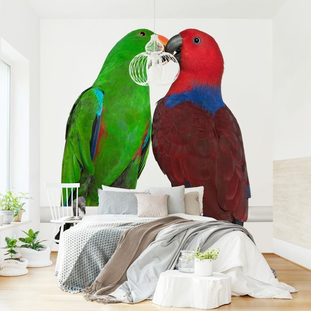 Wandtapete Design Verliebte Papageien