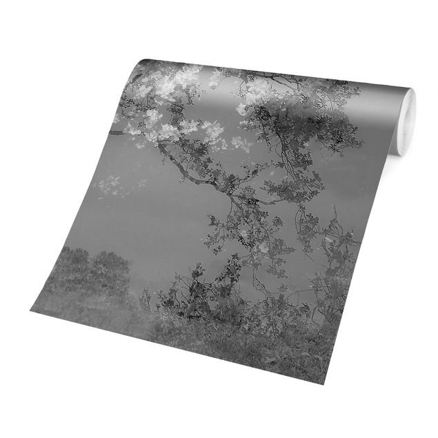 Tapeten weiß Verträumte Bäume in Schwarz-weiß