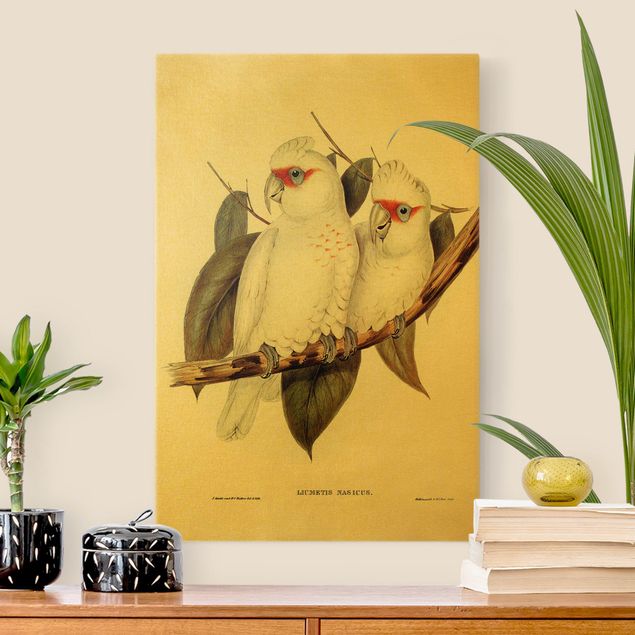 Leinwandbilder Vögel Vintage Illustration Weißer Kakadu