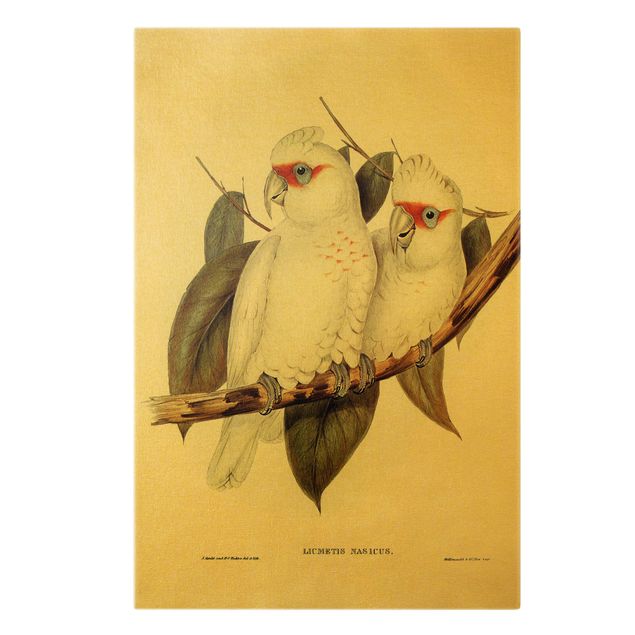 Kunstdrucke auf Leinwand Vintage Illustration Weißer Kakadu