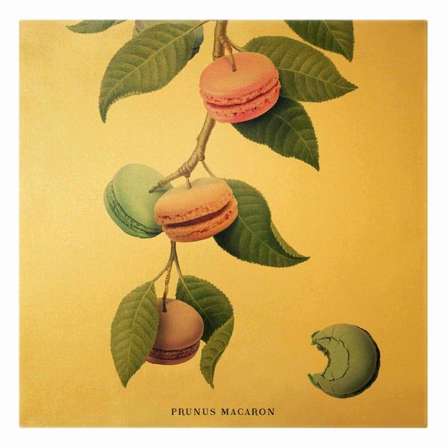 Leinwandbilder Kaffee Vintage Pflanze - Macaron