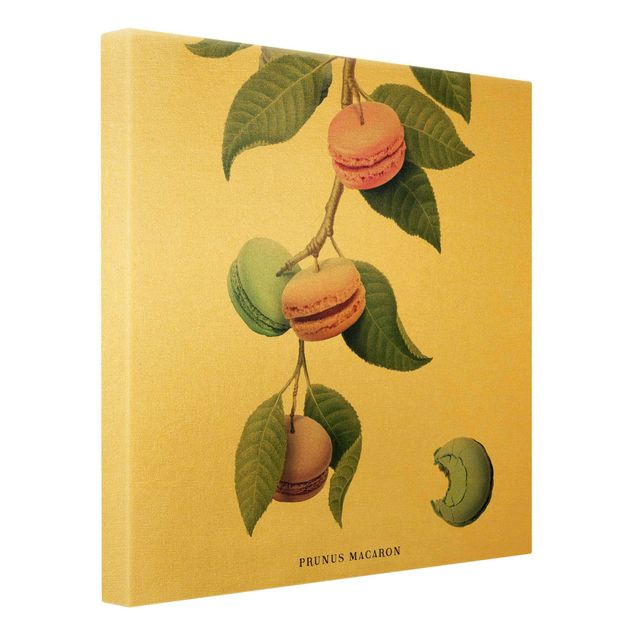 Schöne Wandbilder Vintage Pflanze - Macaron