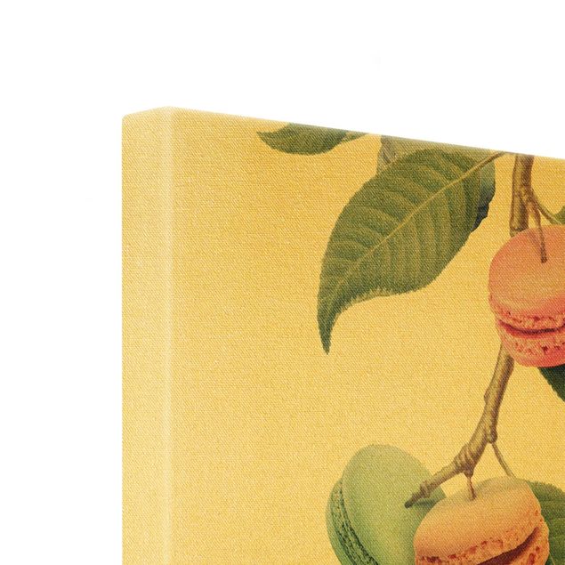 Bilder auf Leinwand Vintage Pflanze - Macaron