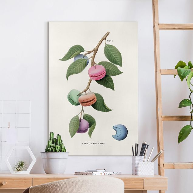 Wandbilder XXL Vintage Pflanze - Macaron