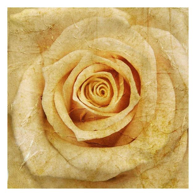 Schöne Fototapete Vintage Rose