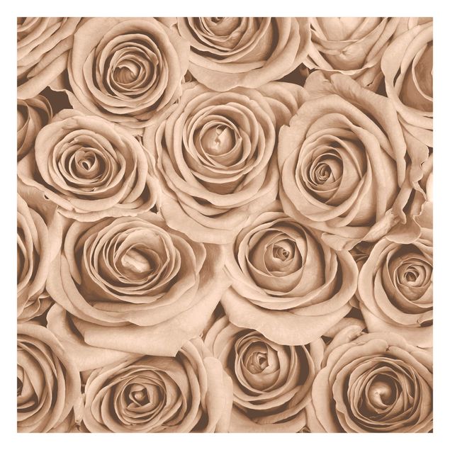 Schöne Fototapete Vintage Rosen