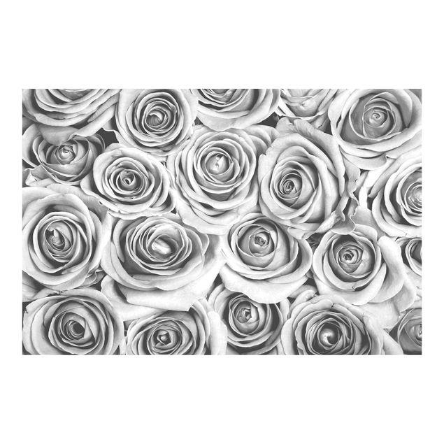 Fototapete weiß Vintage Rosen Schwarz-Weiß