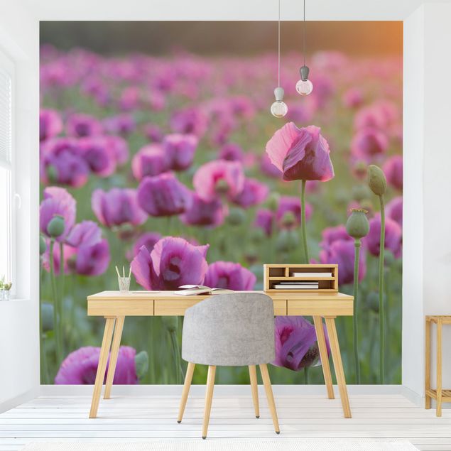 Tapeten modern Violette Schlafmohn Blumenwiese im Frühling