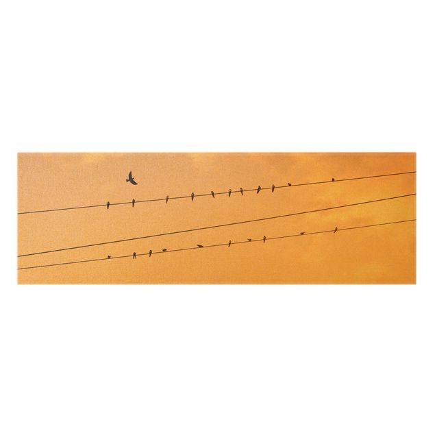 Wandbilder Natur Vögel auf der Stromleitung