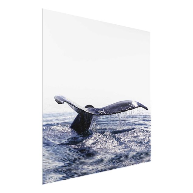 Bilder für die Wand Wal Gesang auf Island