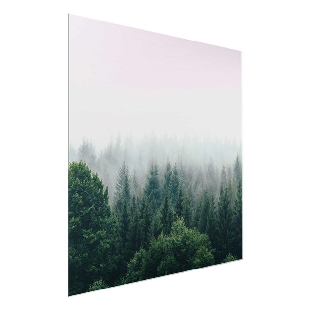 Grüne Glasbilder Wald im Nebel Dämmerung