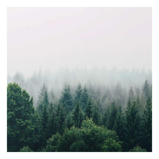 Schöne Wandbilder Wald im Nebel Dämmerung