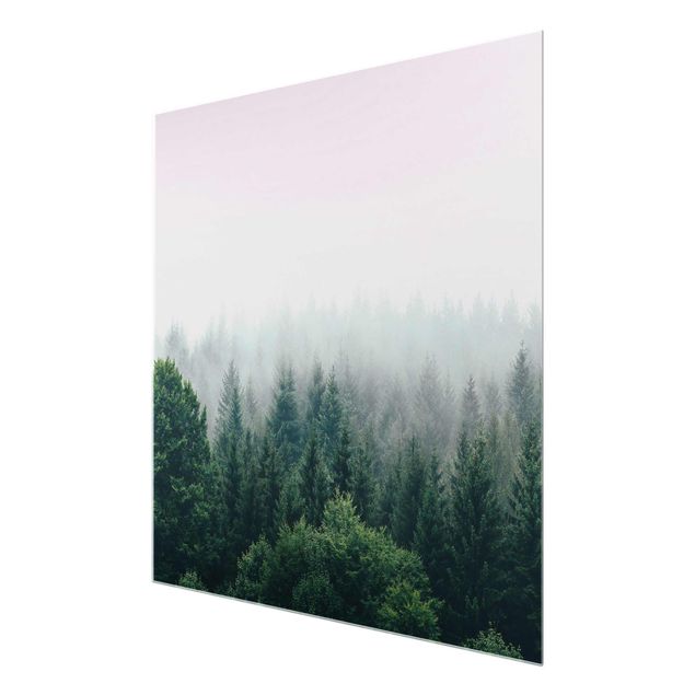 Bilder auf Glas Wald im Nebel Dämmerung