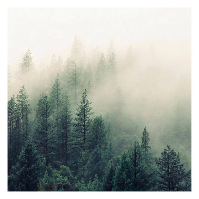 Design Tapete Wald im Nebel Erwachen